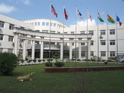 沈陽師范大學(xué)國際教育學(xué)院