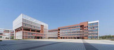 新 生活方式 給孩子的世界,要大于全世界