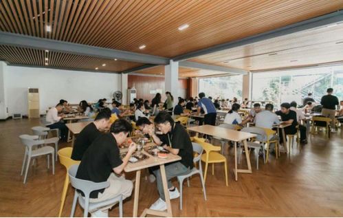 深圳知上藝術畫室 獨具匠心精品教學,實力締造滿園碩果