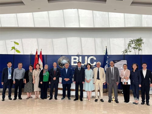 同濟(jì)大學(xué)國(guó)際中文教育信息化研究基地在埃及成立，推動(dòng)國(guó)際中文教育創(chuàng)新發(fā)展