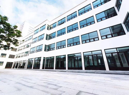 開(kāi)封市貞元學(xué)校國(guó)際教育學(xué)院 為古城再添優(yōu)質(zhì)教育新力量