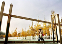 洛陽師范學院國際教育學院